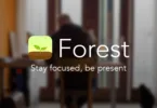 Forest MOD APK